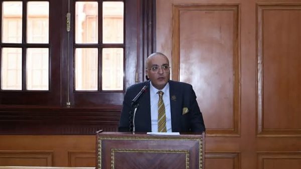 النائب عمرو عزت،