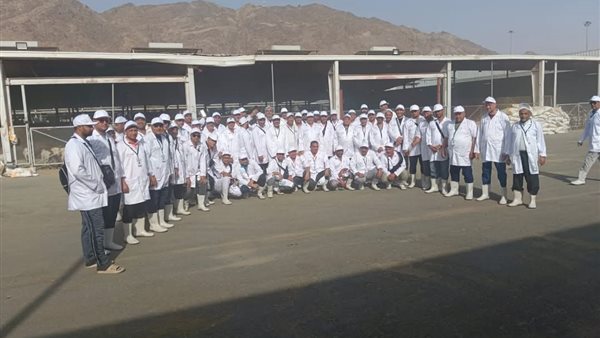 بدء البعثة البيطرية