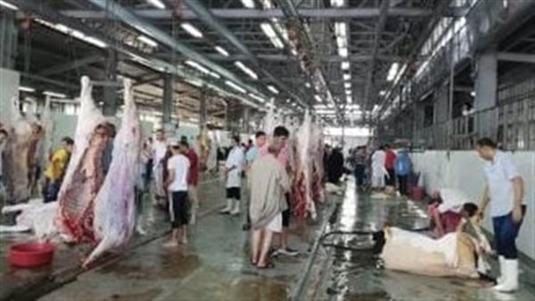 العاملين في المجازر