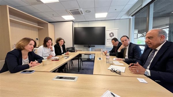 وزير الكهرباء 