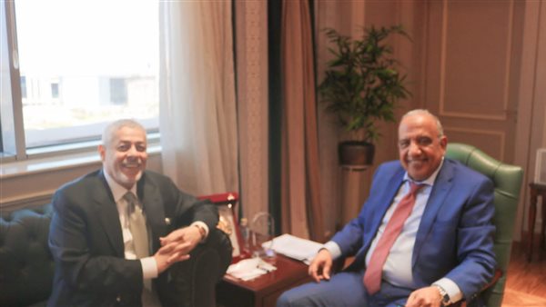 وزير الكهرباء 