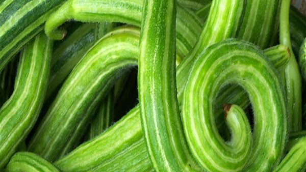 الأتة وفوائدها الصحية