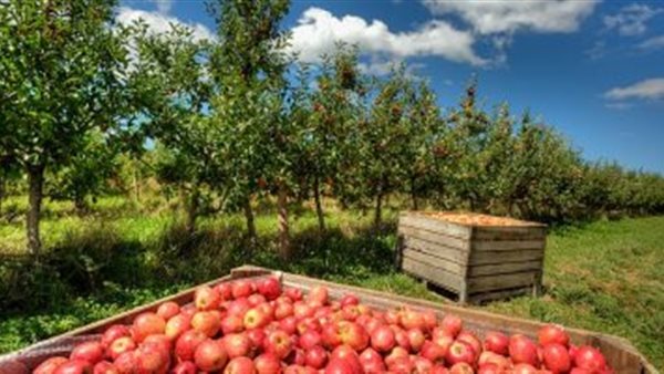 تحول جذري في القطاع