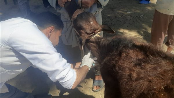 جانب من القوافل الطبية