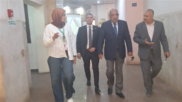 وزير الكهرباء 