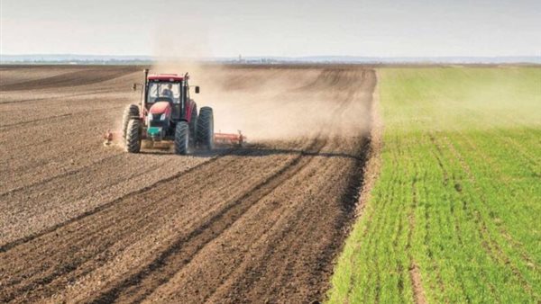 التحديات التي تواجه