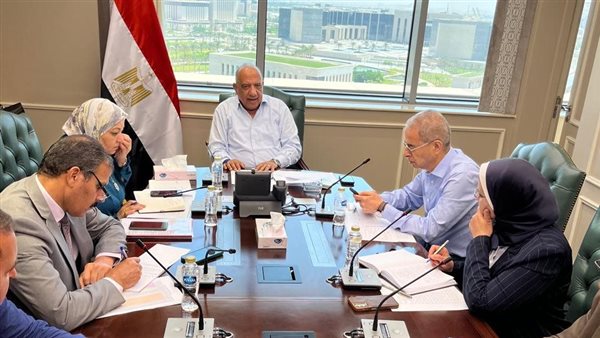 وزير الكهرباء 