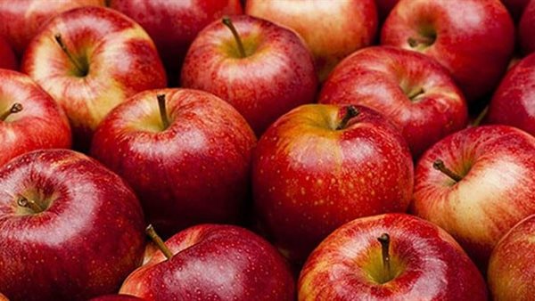 محصول التفاح