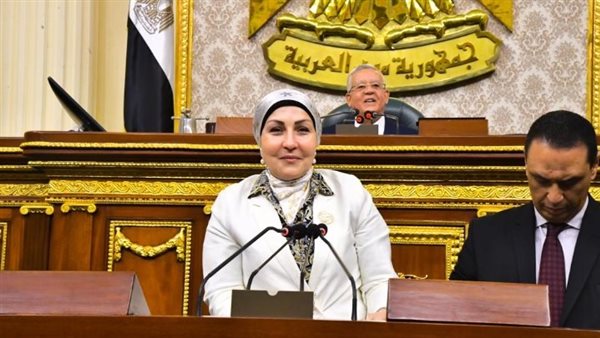 النائبة هالة أبو