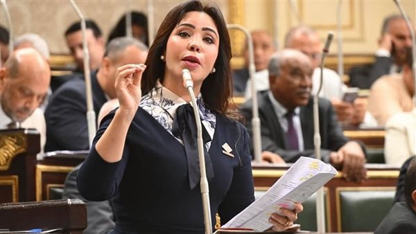  النائبة غادة علي