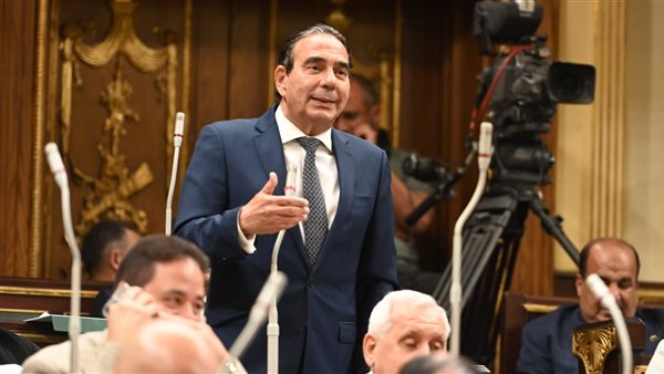 النائب أيمن أبو العلا،