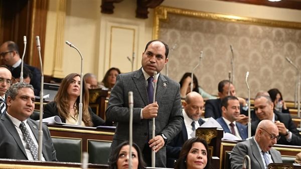 النائب عمرو درويش،