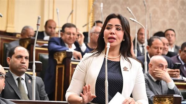 النائبة غادة علي