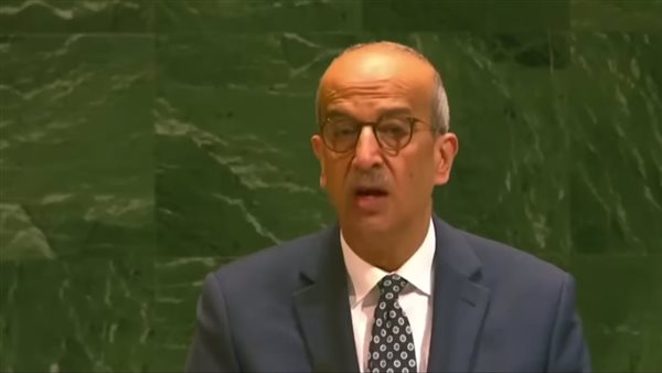 السفير أسامة عبد