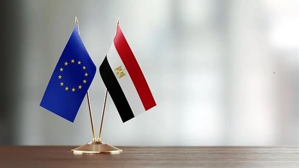 شريحة الدعم المالي