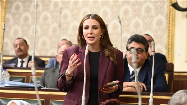 النائبة فاطمة سليم