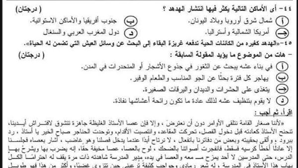 مراجعة ليلة الامتحان