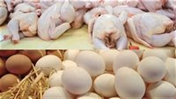 أسعار الفراخ والبيض