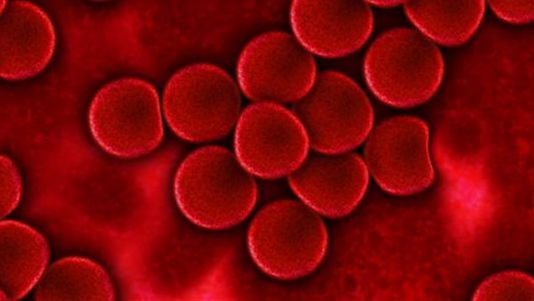 اكتشاف فصيلة دم جديدة