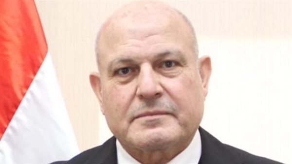 المستشار محمد الشناوي