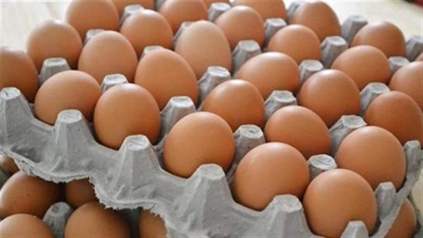 أسعار البيض اليوم