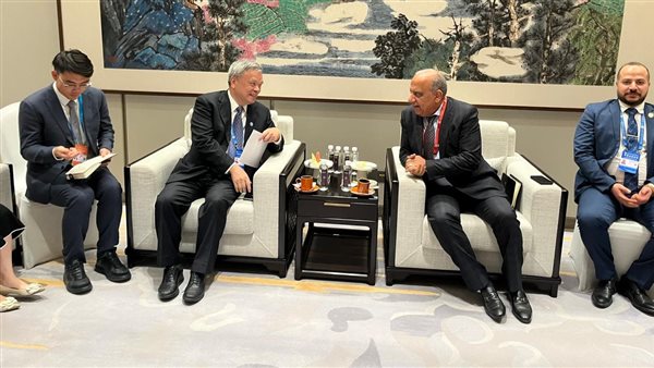 وزير الكهرباء 