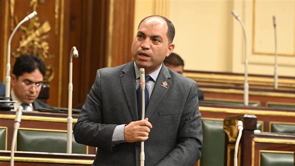 النائب عمرو درويش