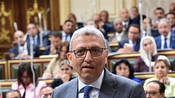 النائب أحمد سعد الدين،