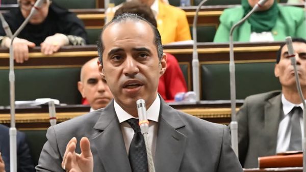 المستشار محمود فوزي،