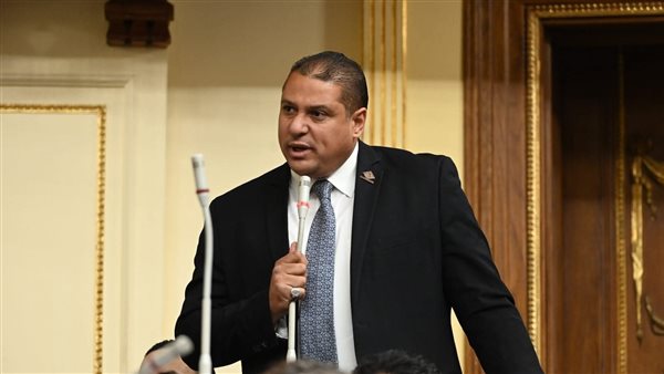 النائب محمد إسماعيل،