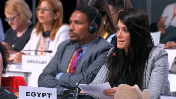 وزيرة التخطيط 