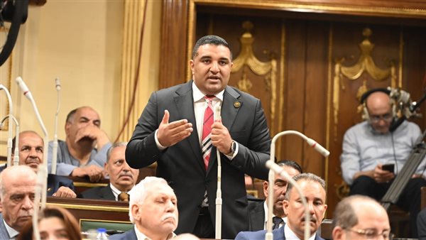 النائب محمود عصام