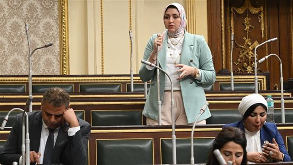 النائبة هدي عبد الستار