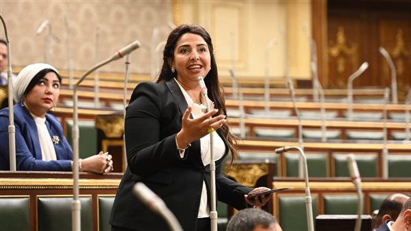 النائبة نشوي الشريف،