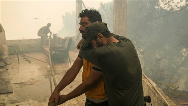 من حرائق غابات سوريا