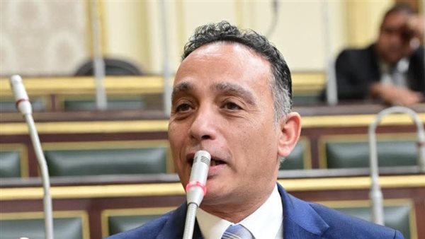 النائب فريدي البياضي،