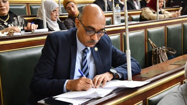 النائب إيهاب منصور،