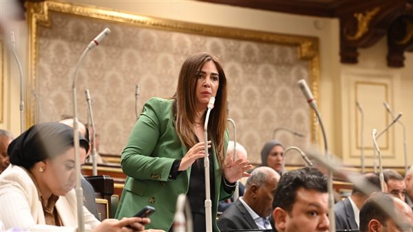 النائبة أميرة العادلي،