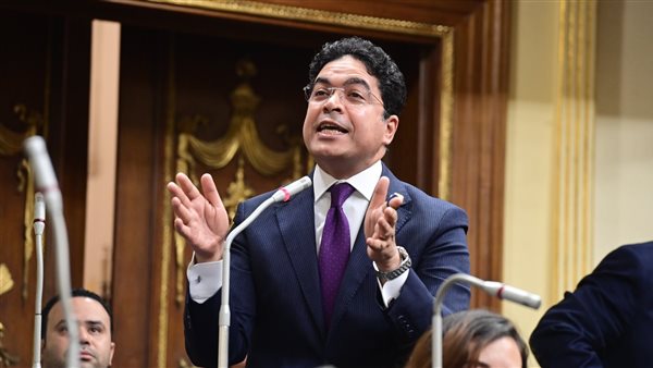 النائب ضياء الدين