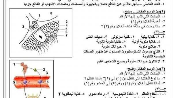 الأسئلة المتوقعة
