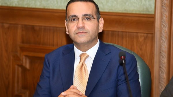 محمد المنزلاوي 