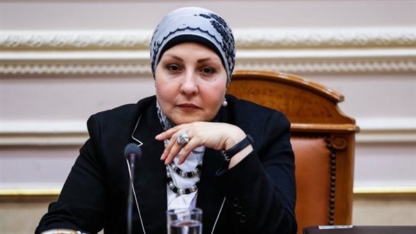 النائبة هالة أبو