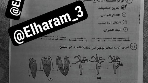 تسريب امتحان الأحياء