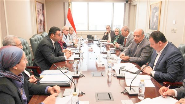 وزير الكهرباء 