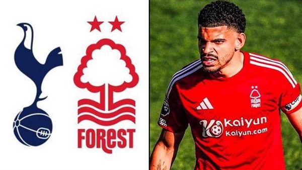 مورجان جيبس وايت