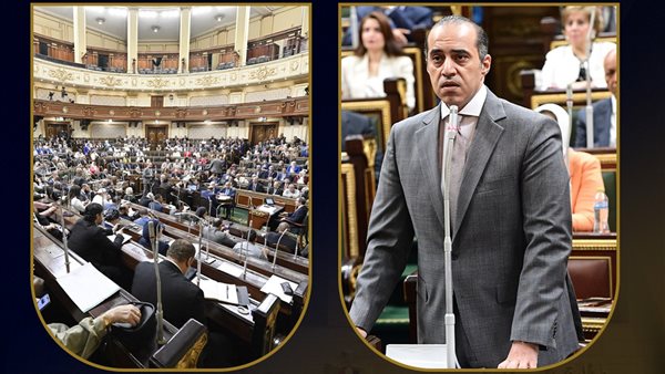 المستشار محمود فوزي،