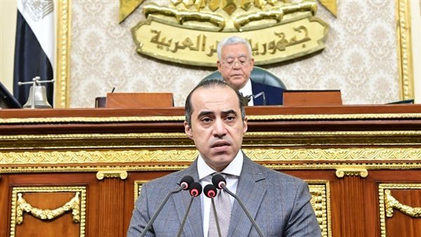 الوزير محمود فوزي