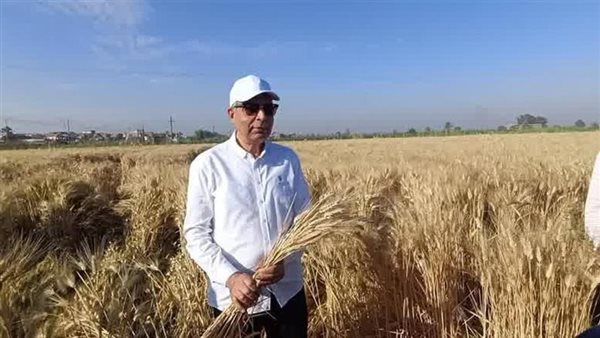 جانب من الحدث 