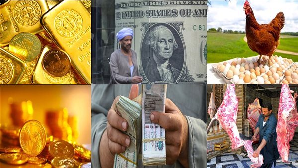 الدولار والذهب والفراخ