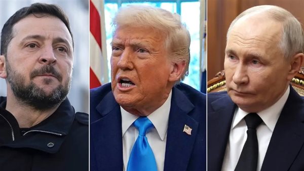 ترامب - زيلينسكي